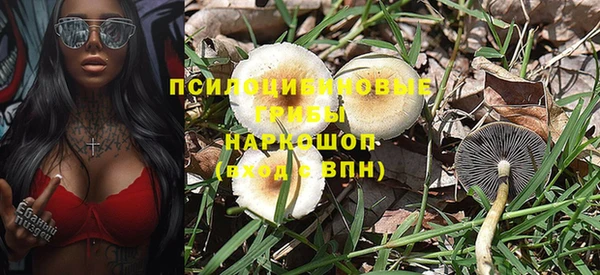 apvp Алексин