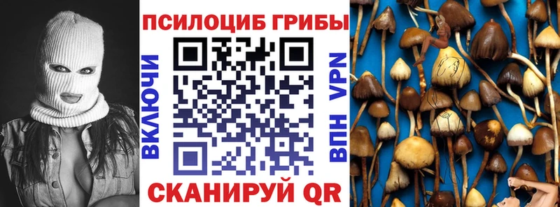 кракен зеркало  Миасс  Галлюциногенные грибы Psilocybine cubensis 